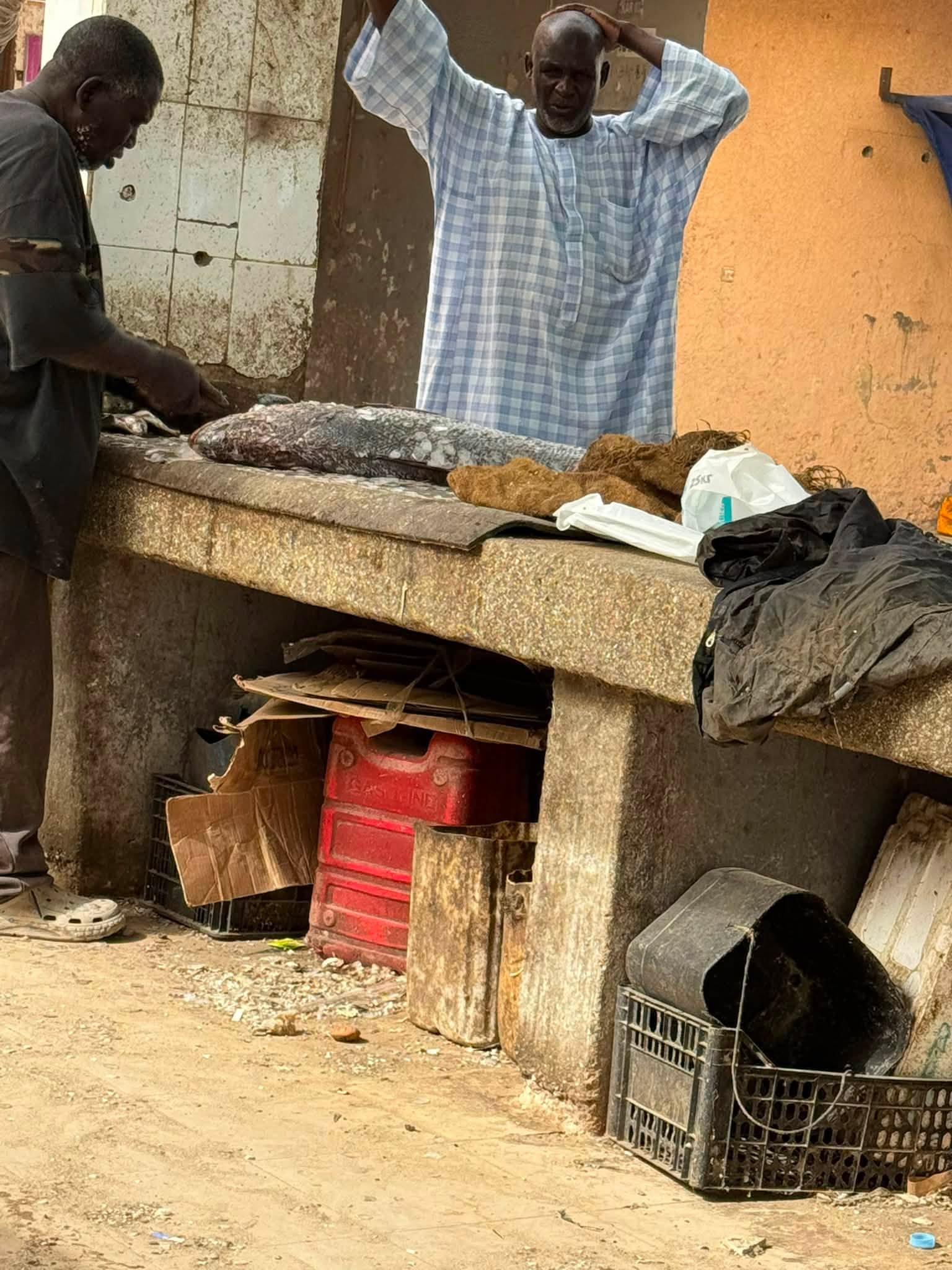 غلاء السمك وشلل السوق: صرخة من شاطئ نواكشوط